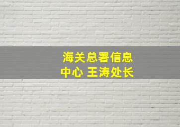 海关总署信息中心 王涛处长